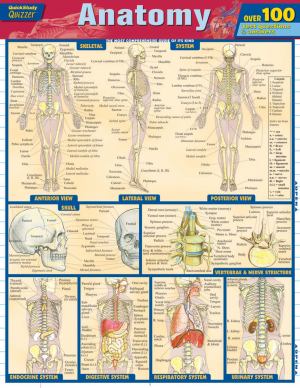 Anatomy Quizzer (SKU 10644942129)