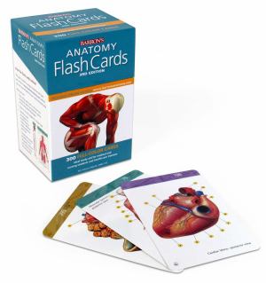Barron's Anatomy Flash Cards 3e (SKU 10636411131)