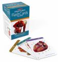 Barron's Anatomy Flash Cards 3e
