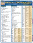 Medical Terminology The Body