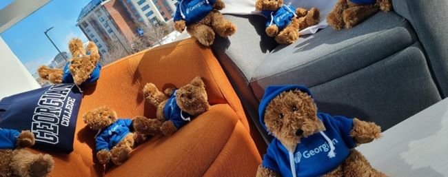 stuffed bears in chairs