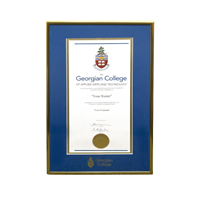 Frame Diploma Brass