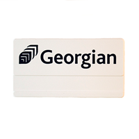 Nametag Georgian/Blank