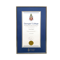 Frame Diploma Silver