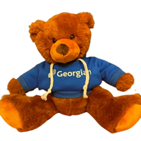 Bear With Imprinted Hoodie