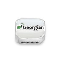 Charm Georgian Logo