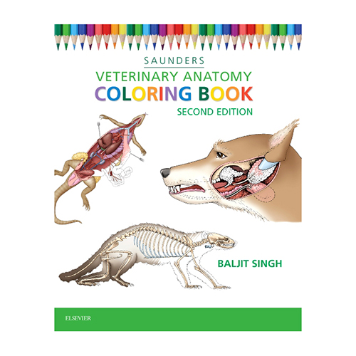 Veterinary Anatomy Coloring Book 2e (SKU 10636749131)