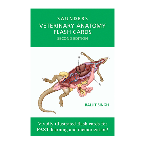 Veterinary Anatomy Flash Cards 2e (SKU 10636756131)