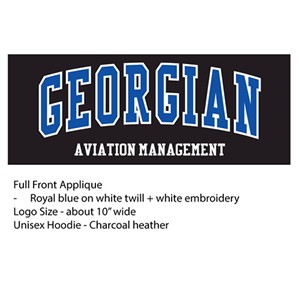Aviation Management Hoodie