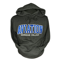 Aviation Program