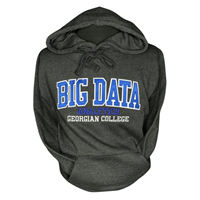 Big Data Analytics Program